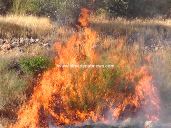 حريق في جرش ( فيديو وصور )